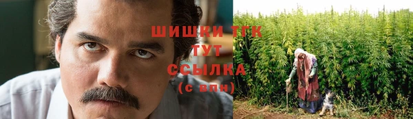 прущая мука Богданович