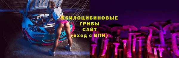 МДПВ Богородицк