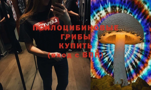 кокс Богородск