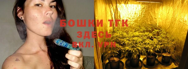 МДПВ Богородицк